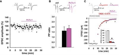 Acid-Sensing Ion Channel 1a Is Involved in N-Methyl D-Aspartate Receptor-Dependent Long-Term Depression in the Hippocampus